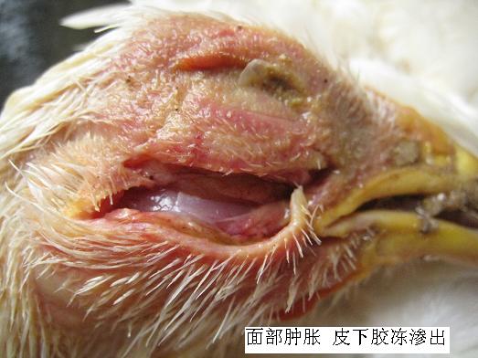 ���ʕr(sh��)��(y��ng)ԓ��ʲô��λ��ʲô��λ�l(f��)��ʲô����